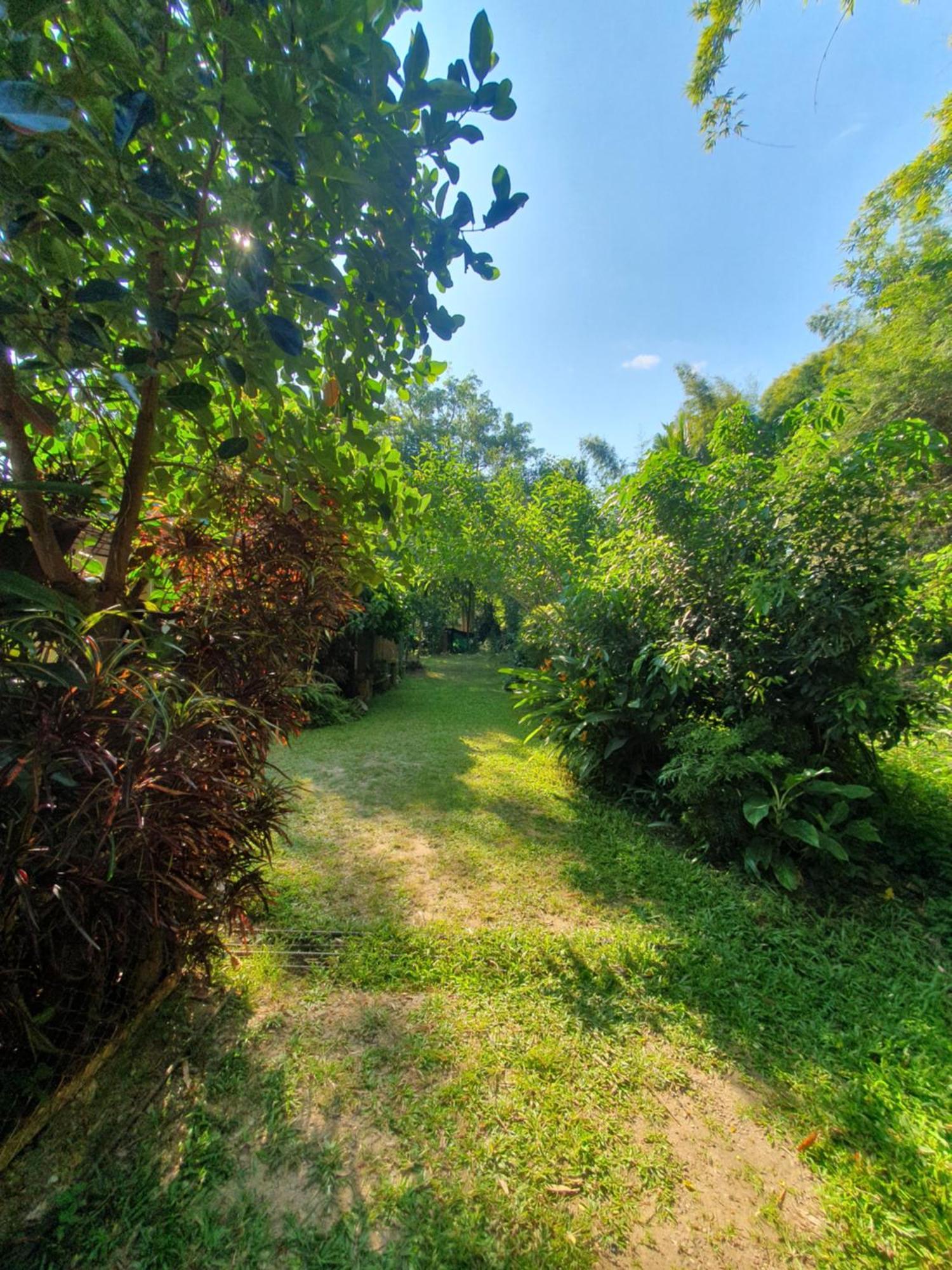 Mind'S Homestay มายด์โฮมสเตย์ Kampong Huaibu Exterior photo